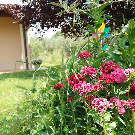 Bnb A La Maison 레겔로 외부 사진