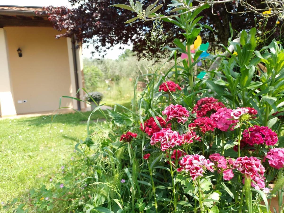 Bnb A La Maison 레겔로 외부 사진